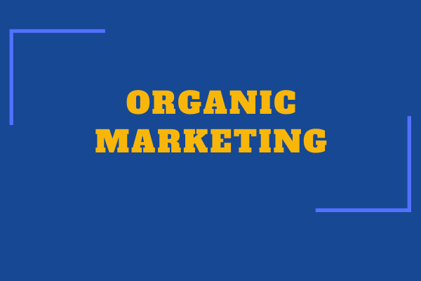 Organic marketing: Let your business grow by itself!